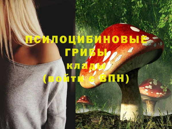 гашик Баксан