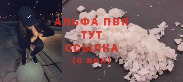 индика Покров