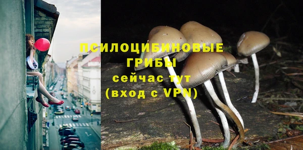 mdpv Балабаново