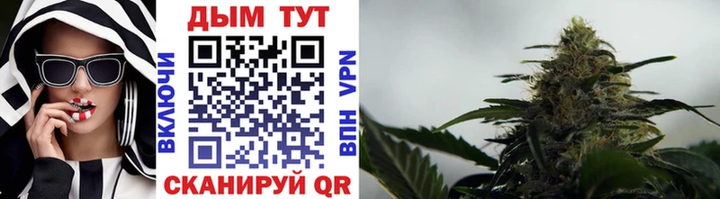 купить закладку  Борзя  Канабис AK-47 